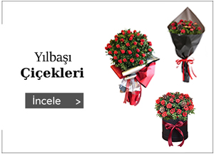 Yılbaşı Çiçekleri